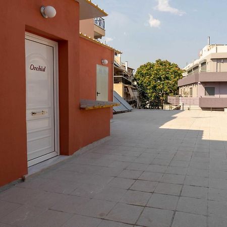 Orchid Athens Over Rooftop Studio Appartamento Esterno foto