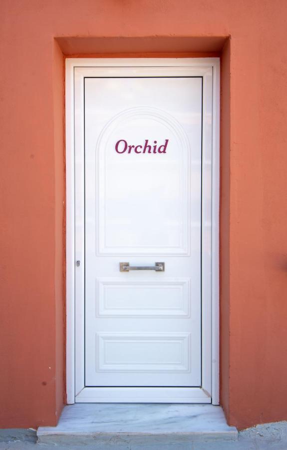 Orchid Athens Over Rooftop Studio Appartamento Esterno foto