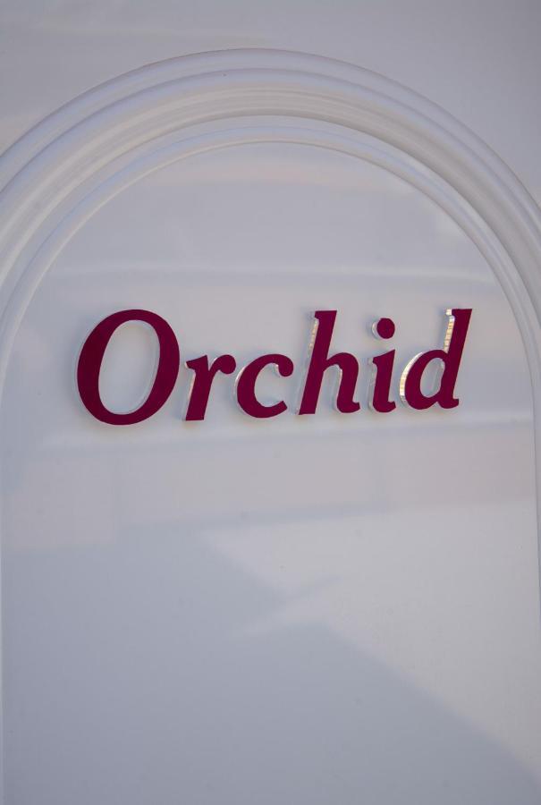 Orchid Athens Over Rooftop Studio Appartamento Esterno foto